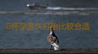 ​怀孕多久打胎比较合适