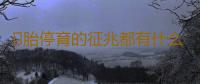 ​胎停育的征兆都有什么