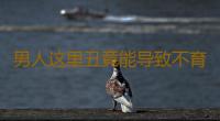 男人这里丑竟能导致不育