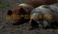 自然流产后多久来月经